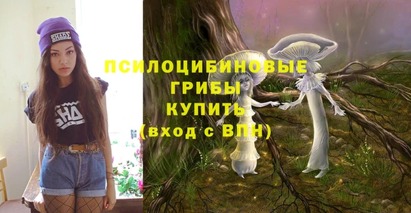 прущие крисы Куйбышев